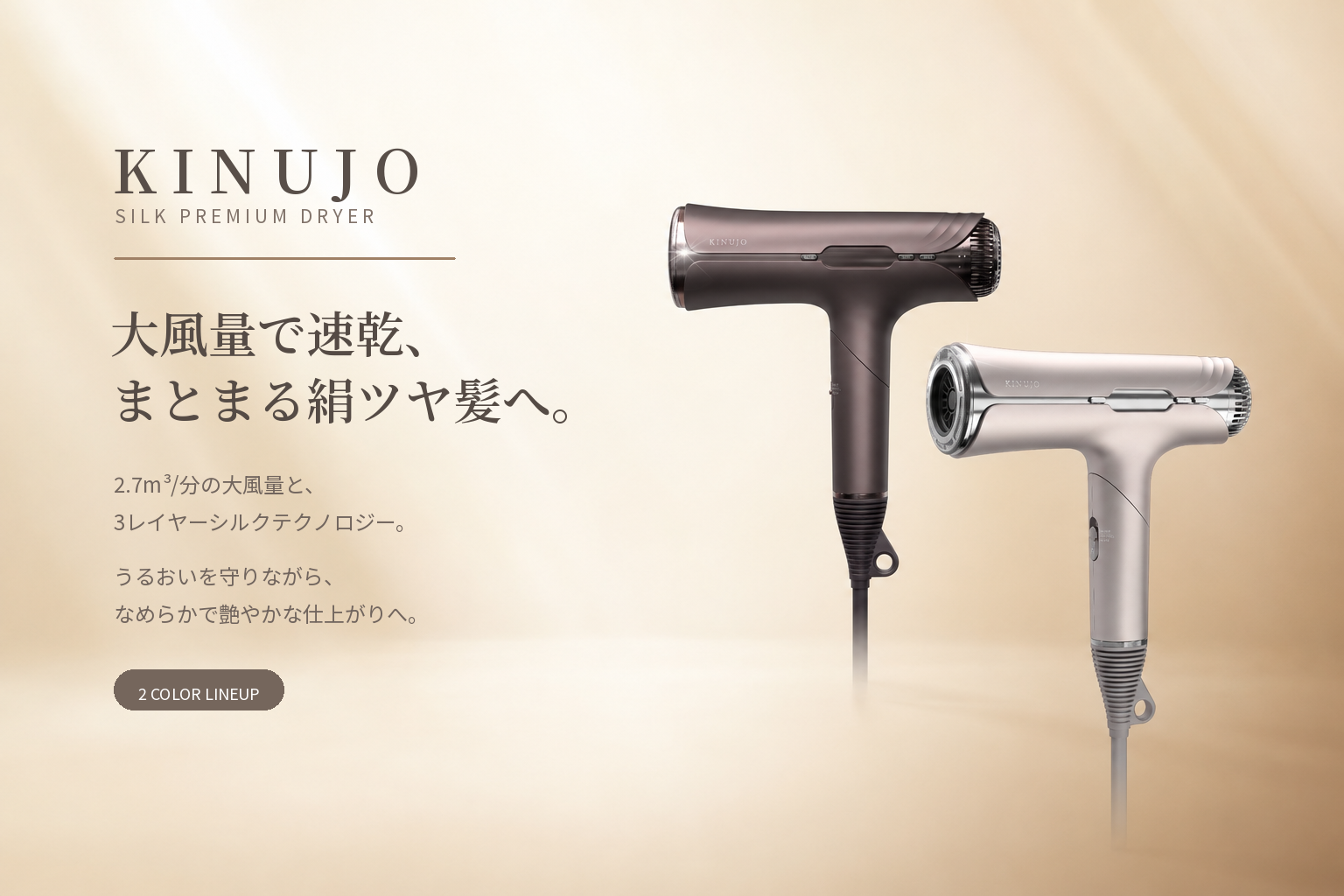 KINUJO Silk Premium Dryer(シルク プレミアム ドライヤー) クリアシルバー